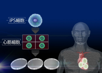 غوغل تخسر الجولة الأولى من دعوى ضد غرامة لمكافحة الاحتكار