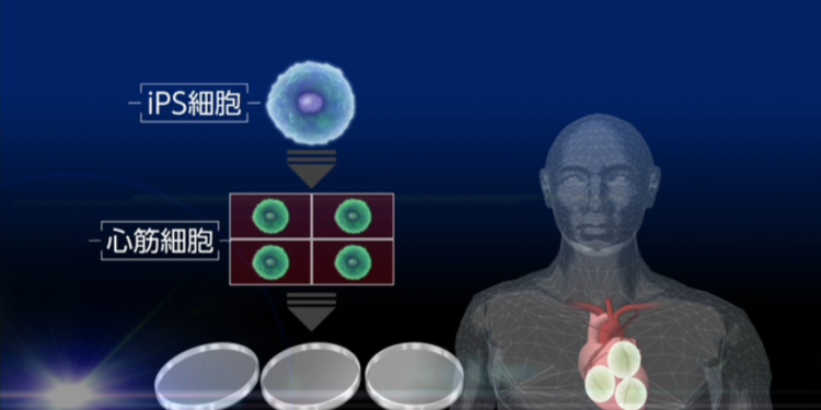 غوغل تخسر الجولة الأولى من دعوى ضد غرامة لمكافحة الاحتكار