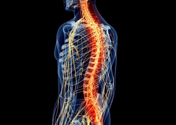 خطوة ثورية نحو علاج الشلل.. علماء ينجحون في إصلاح الألياف التالفة في العمود الفقري