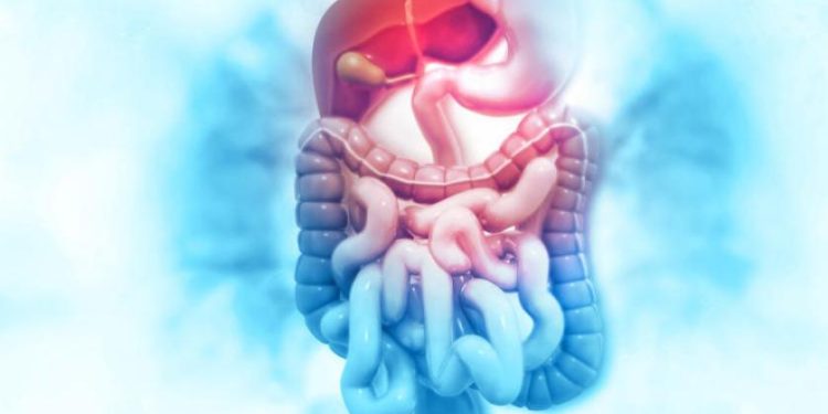 5 أعراض تدل على ضعف جهازك الهضمي