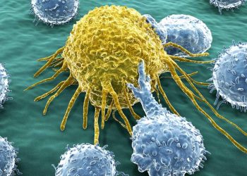 استهلاك بدائل السكر بصورة منتظمة يسبب السرطان