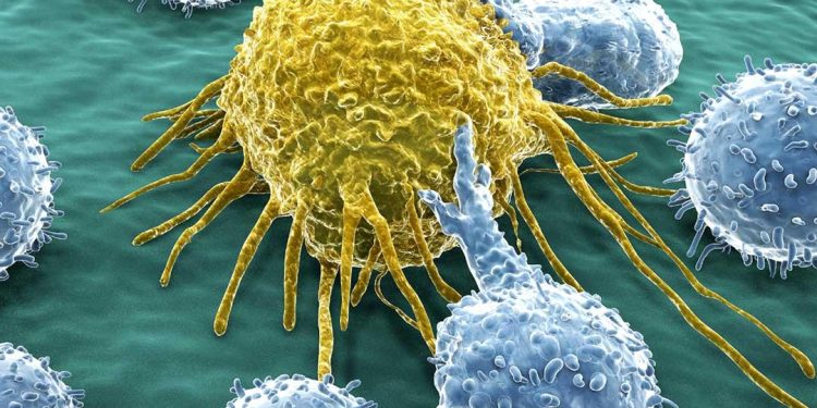 استهلاك بدائل السكر بصورة منتظمة يسبب السرطان