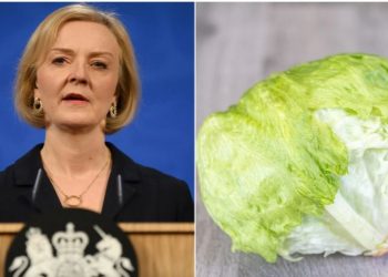 لماذا تقارن بريطانيا فترة رئيسة وزرائها بالخس؟