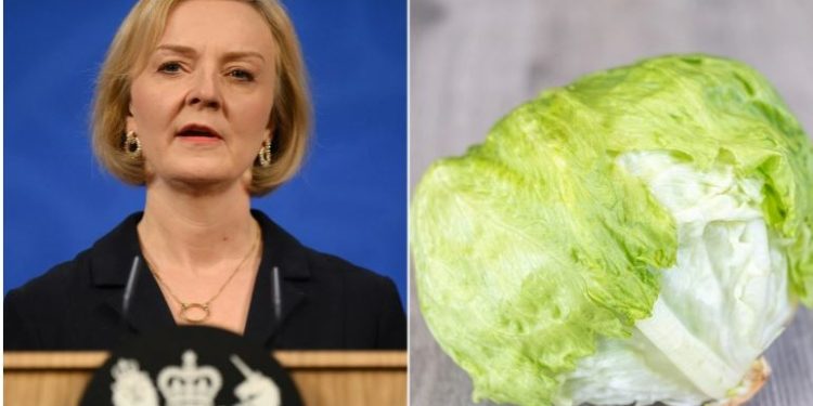 لماذا تقارن بريطانيا فترة رئيسة وزرائها بالخس؟