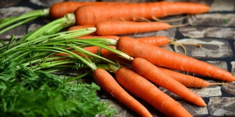 من المحرم عليه تناول الجزر؟