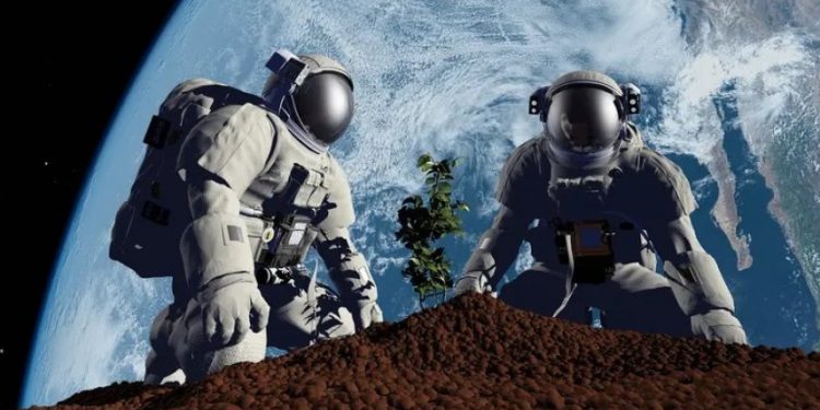 الزراعة على القمر.. خطوة جديدة لتسهيل استيطان البشر على الكوكب