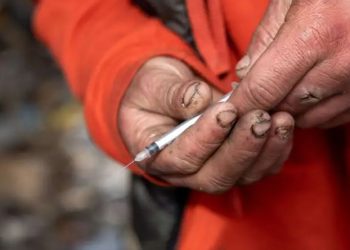 الاستخدام السياسي للشابو