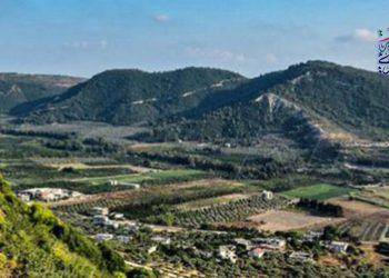 أجواء مائلة للبرودة وضباب على المرتفعات الجبلية والداخلية