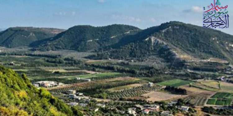 أجواء مائلة للبرودة وضباب على المرتفعات الجبلية والداخلية