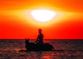 الخيل والبحر والغروب ……متلازمة الجمال