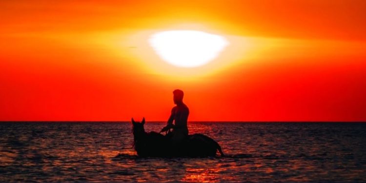 الخيل والبحر والغروب ……متلازمة الجمال