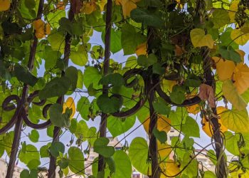 فرصة لهطل زخات من المطر فوق المناطق الشمالية والساحلية