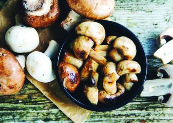 الفطر غذاء مستقبلي خارق