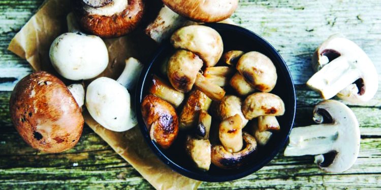 الفطر غذاء مستقبلي خارق