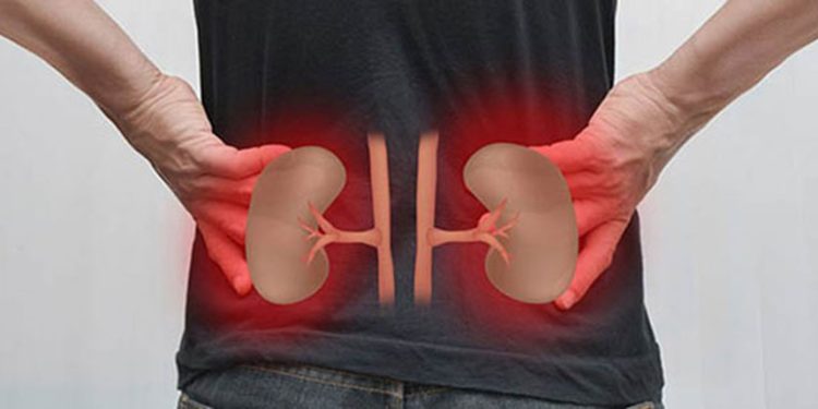 كثرة هذا الفيتامين تدمر الكلى