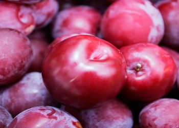 ماذا يفعل البرقوق بالعظام؟