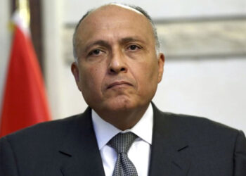 وزير خارجية مصر إلى دمشق اليوم