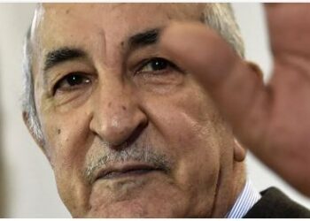 الجزائر تبحث تقديم المزيد من الدعم لضحايا زلزال تركيا وسوريا