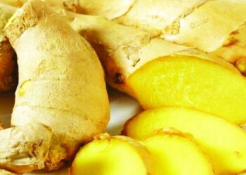 الزنجبيل ينشّط خلايا المناعة