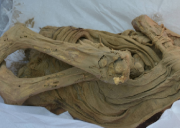 اكتشاف مومياء عمرها نحو 1200 عام