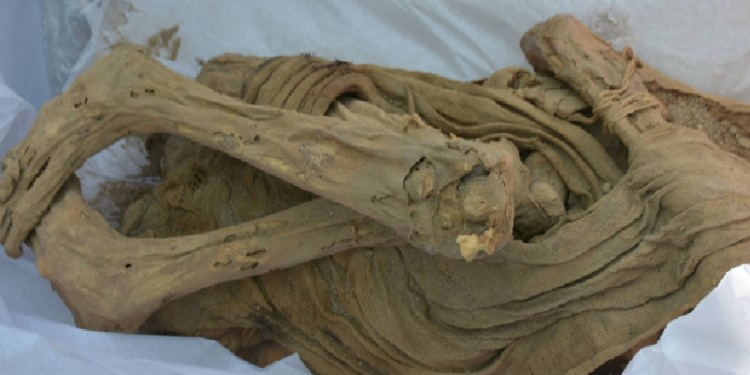 اكتشاف مومياء عمرها نحو 1200 عام