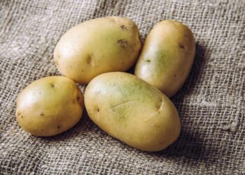 ما خطورة البقع الخضراء في البطاطس على صحتك؟