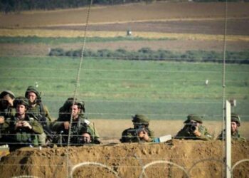 الاحتلال يستهدف الأراضي الزراعية شرق خانيونس