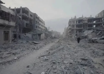 مقررة أممية مايحدث في غزة إبادة جماعية