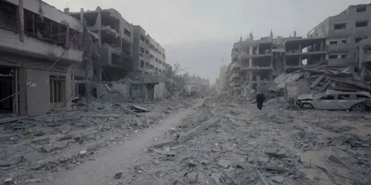 مقررة أممية مايحدث في غزة إبادة جماعية