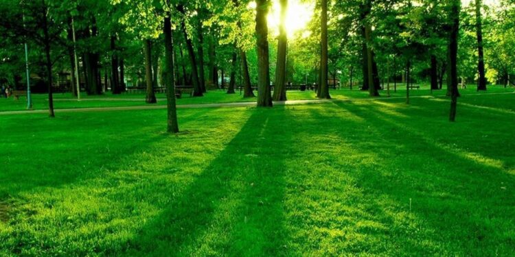 يوم الأرض 2024 قيمة الطبيعة والحصول على “فيتامين N”