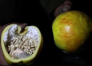 فواكه بلاستيكية وأقنعة.. مشاهد من داخل مصنع كبتاغون قرب دمشق